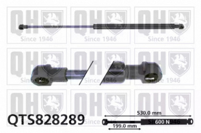 QUINTON HAZELL qts828289 -  Газовая пружина, крышка багажник